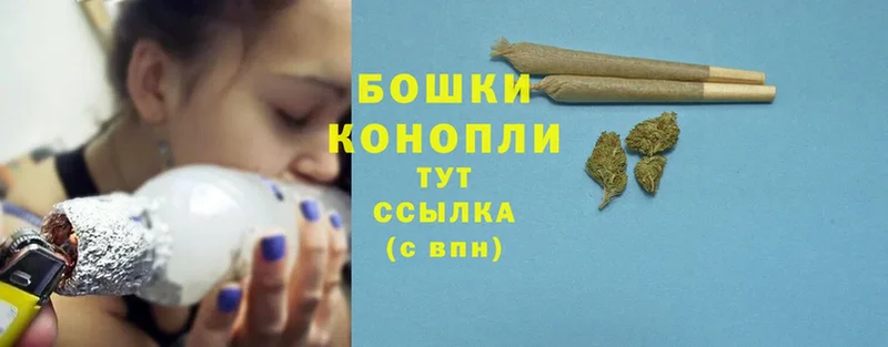 Конопля White Widow  Выборг 